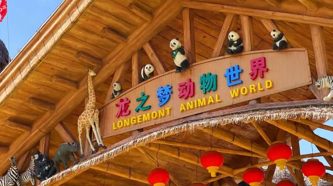 图片8