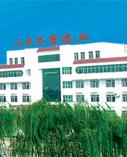 山东齐鲁漆业有限公司