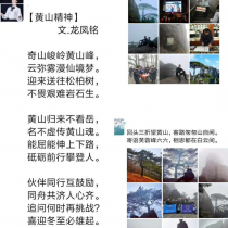图片15